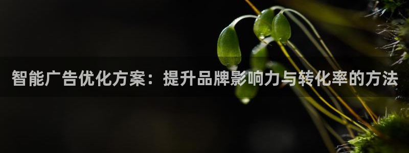 必赢集团网站改成多少
