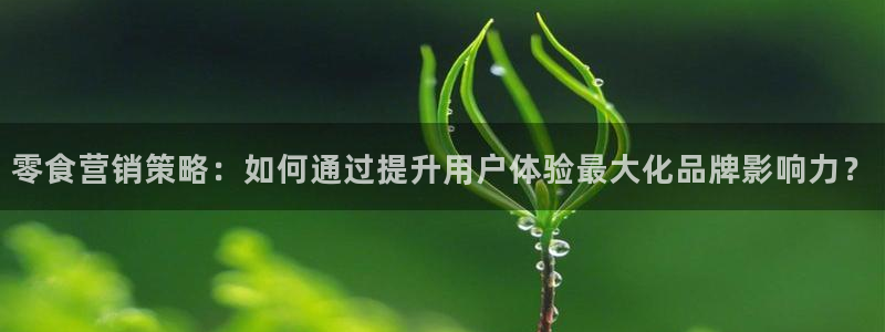必赢线上网址查询