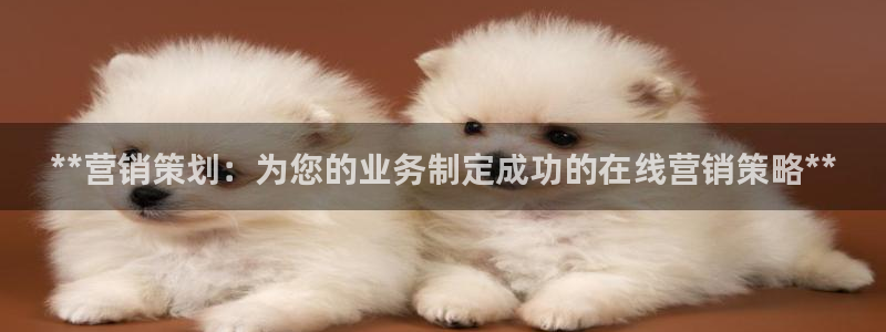 必赢集团网站是什么