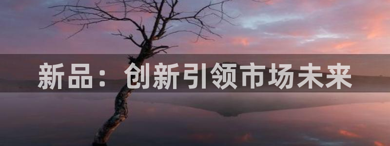 必赢手机版网站多少