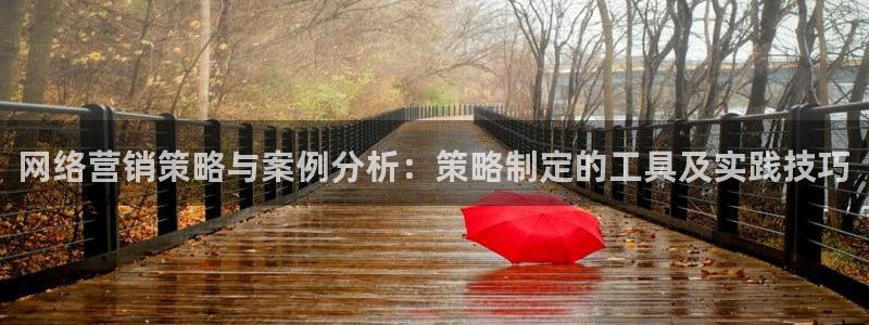 必赢下载