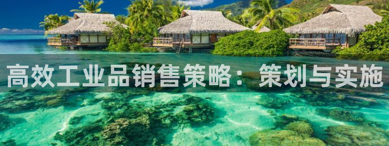 必赢棋脾9655app下载