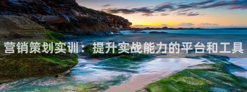 必赢抢红包网址