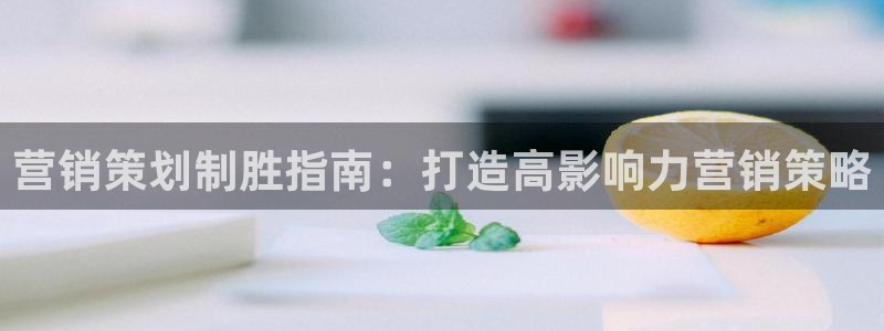 必赢网站是哪一个公司的