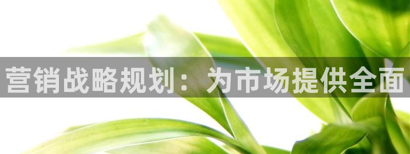 必赢官网app下载