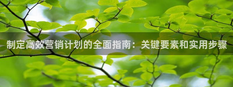 必赢网站是哪一个平台