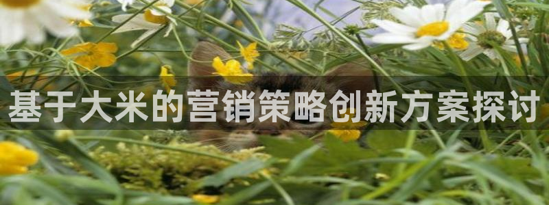 必赢平台电子