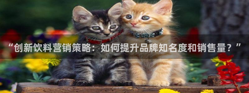 必赢活动安卓下载app