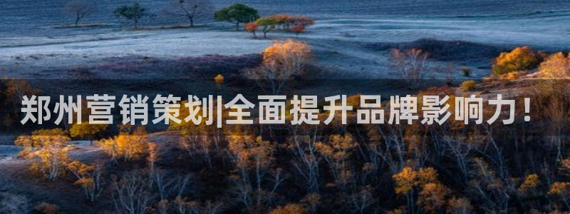 必赢88