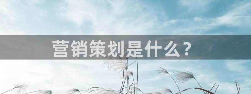 必赢国际437官方