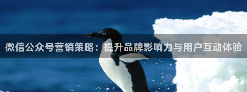 必赢集团菲律宾