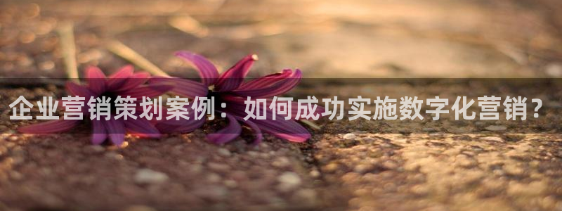 必赢365官方网登录