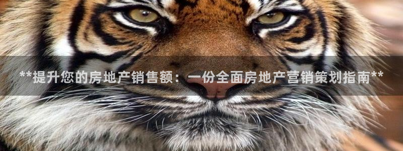 必赢手机app下载 最新版苹果