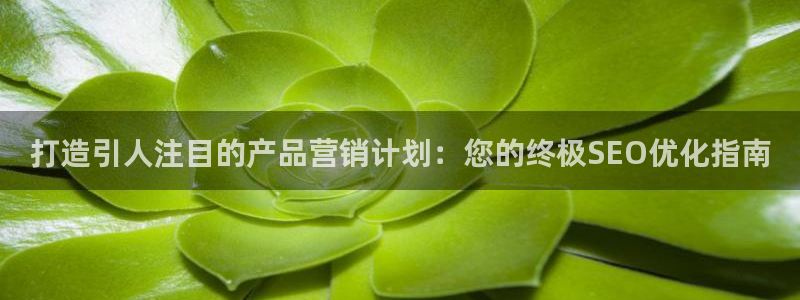 必赢线上网址