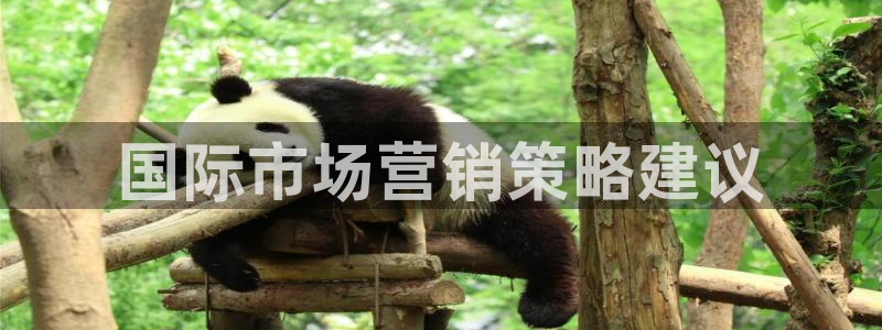必赢平台网