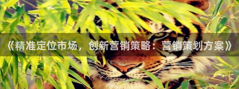必赢下载安卓版