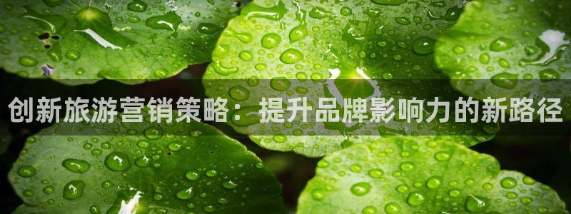 必赢宝是不是合法平台