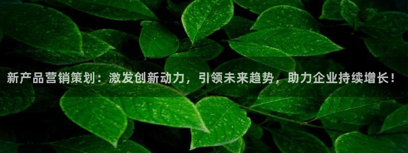 必赢下载苹果手机app