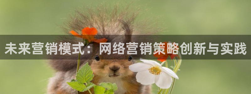 必赢365官方网登录