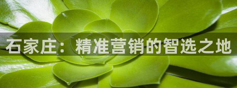 必赢平台官方网址
