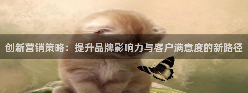 必赢下载安卓版：创新营销策略：