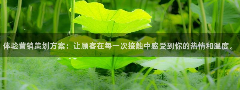 9965必赢游戏app：体验营