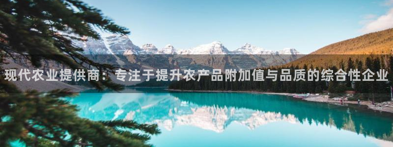 必赢官网app下载安装：现代农
