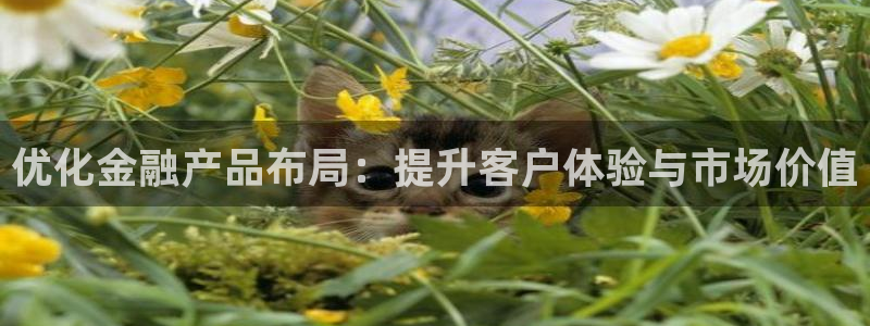 必赢图片：优化金融产品布局：提