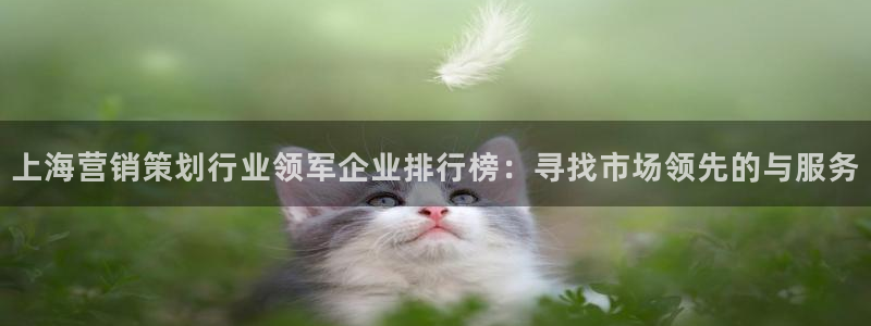 必赢资讯下载
