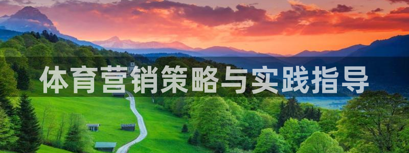 必赢网站：体育营销策略与实践指