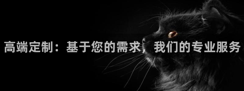 必赢网站是多少啊