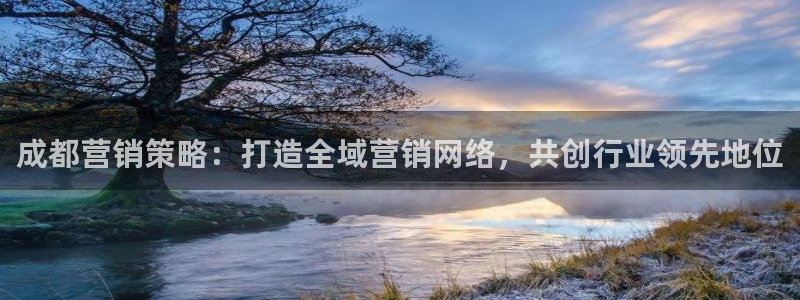 必赢网怎么打不开了