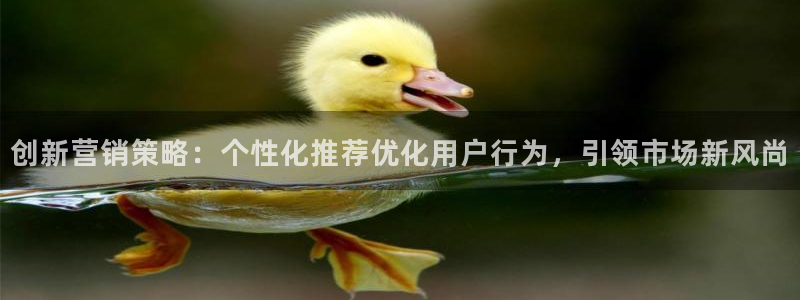 必赢app客户端下载官网