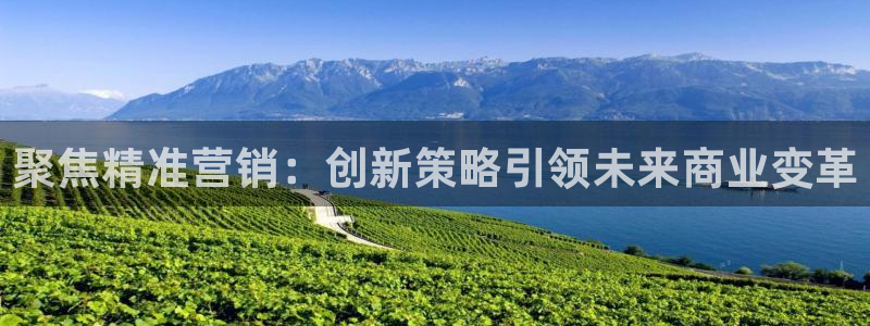 必赢国际的网站多少：聚焦精准营