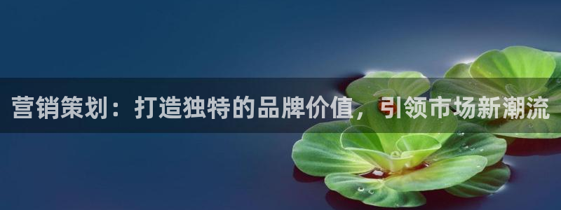 必赢官网入口下载app：营销策